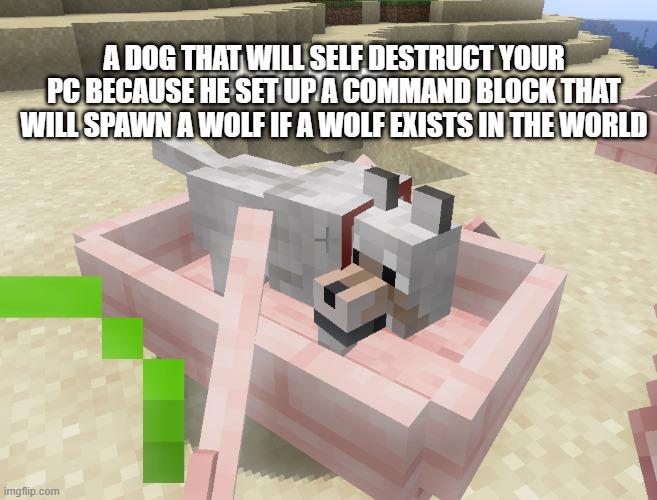 NO you are not going to self destruct my PC | A DOG THAT WILL SELF DESTRUCT YOUR PC BECAUSE HE SET UP A COMMAND BLOCK THAT WILL SPAWN A WOLF IF A WOLF EXISTS IN THE WORLD | image tagged in wolfie | made w/ Imgflip meme maker