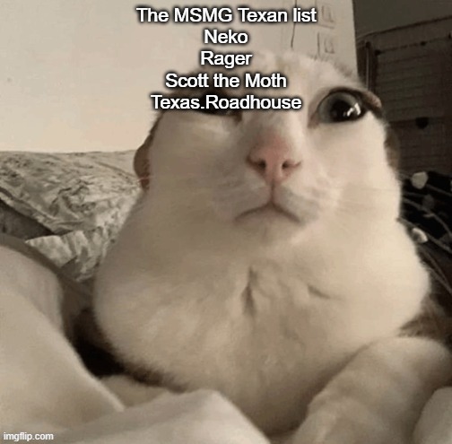 goober | The MSMG Texan list
Neko
Rager
Scott the Moth
Texas.Roadhouse | image tagged in goober | made w/ Imgflip meme maker