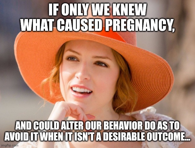 Condescending Kendrick | IF ONLY WE KNEW WHAT CAUSED PREGNANCY, AND COULD ALTER OUR BEHAVIOR DO AS TO AVOID IT WHEN IT ISN'T A DESIRABLE OUTCOME... | image tagged in condescending kendrick | made w/ Imgflip meme maker