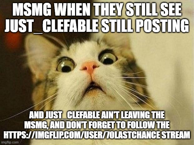 Scared Cat | MSMG WHEN THEY STILL SEE JUST_CLEFABLE STILL POSTING; AND JUST_CLEFABLE AIN'T LEAVING THE MSMG, AND DON'T FORGET TO FOLLOW THE HTTPS://IMGFLIP.COM/USER/70LASTCHANCE STREAM | image tagged in memes,scared cat | made w/ Imgflip meme maker