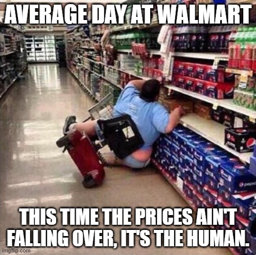 Fat Person Falling Over | AVERAGE DAY AT WALMART; THIS TIME THE PRICES AIN'T FALLING OVER, IT'S THE HUMAN. | image tagged in fat person falling over | made w/ Imgflip meme maker
