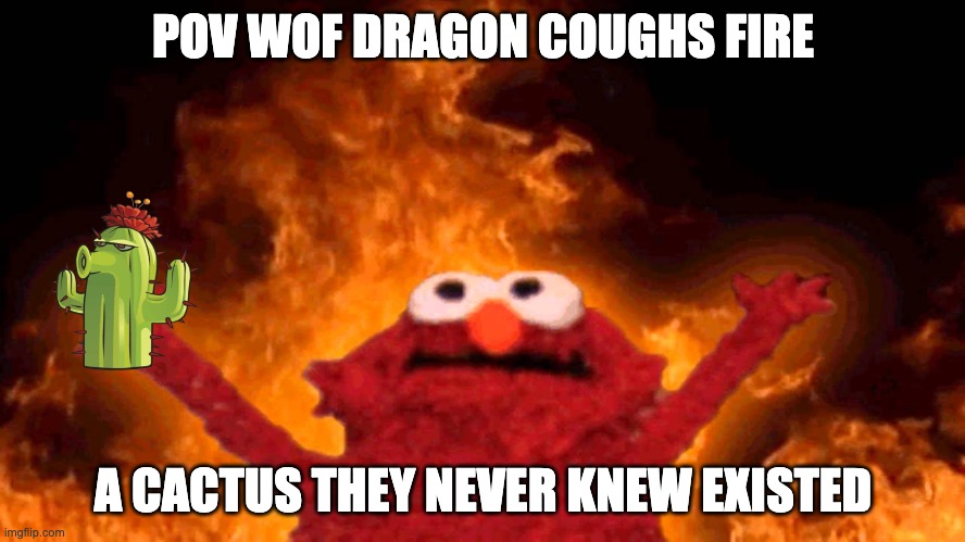 WoF Cactus Meme | POV WOF DRAGON COUGHS FIRE; A CACTUS THEY NEVER KNEW EXISTED | image tagged in elmo fire | made w/ Imgflip meme maker