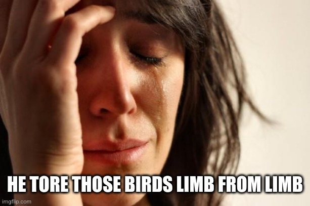 First World Problems Meme | HE TORE THOSE BIRDS LIMB FROM LIMB | image tagged in memes,first world problems | made w/ Imgflip meme maker