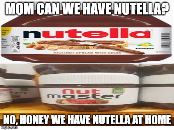 i am the nut master fear me! | MOM CAN WE HAVE NUTELLA? NO, HONEY WE HAVE NUTELLA AT HOME | image tagged in nut master | made w/ Imgflip meme maker