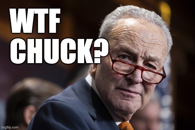 WTF Chuck? | WTF
CHUCK? | image tagged in chuck schumer,chuck,schumer | made w/ Imgflip meme maker