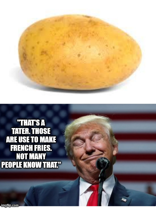 "THAT'S A TATER. THOSE ARE USE TO MAKE FRENCH FRIES. NOT MANY PEOPLE KNOW THAT." | image tagged in potato,trump idiot | made w/ Imgflip meme maker