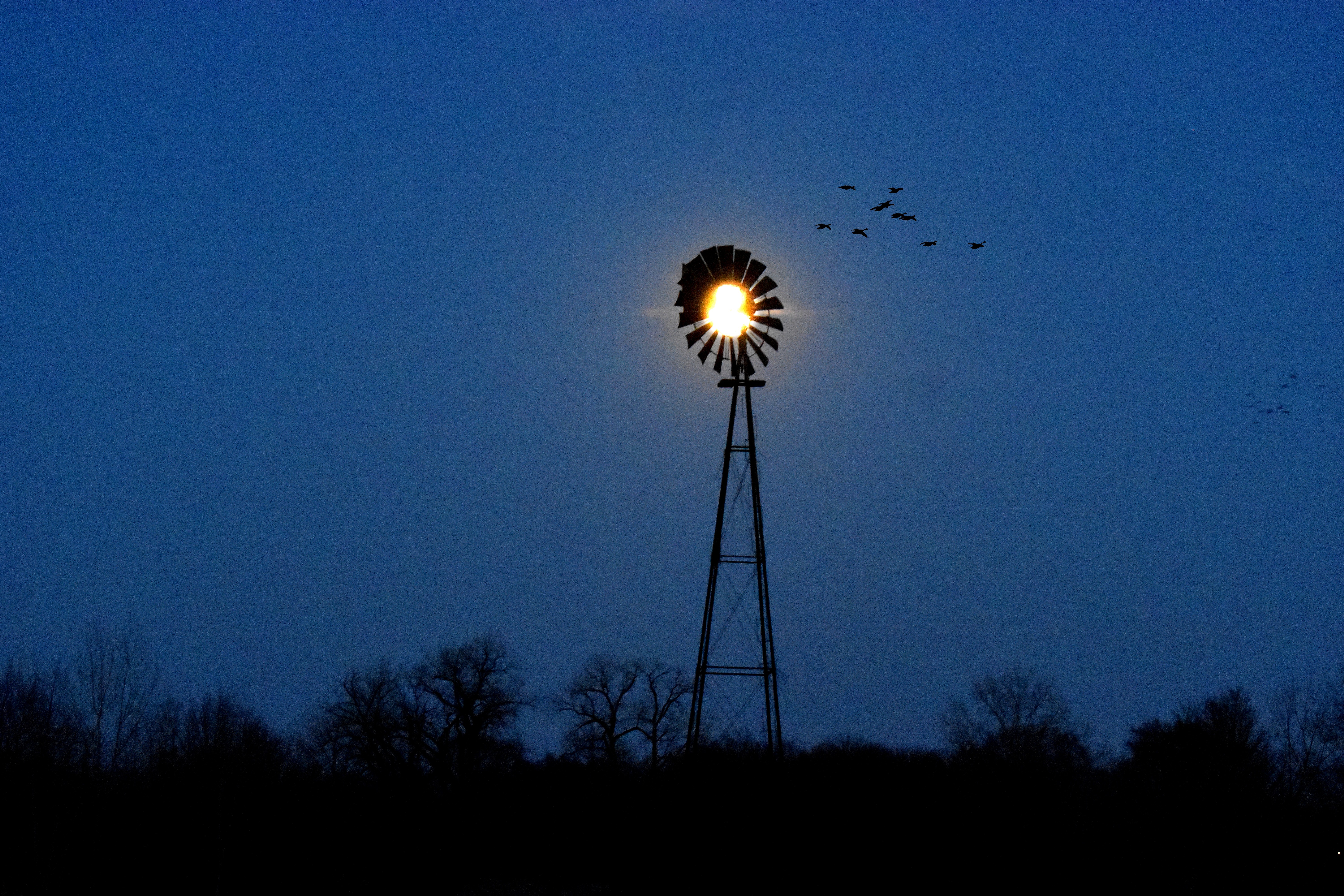 I was in the right place at the right time last evening. Full moon behind a local windmill a block away from my house. | image tagged in worm moon,full moon,windmill,kewlew | made w/ Imgflip meme maker