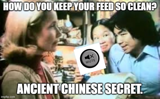 Filter out the idiots, enjoy the Dank Memes | HOW DO YOU KEEP YOUR FEED SO CLEAN? ANCIENT CHINESE SECRET. | image tagged in mute button | made w/ Imgflip meme maker