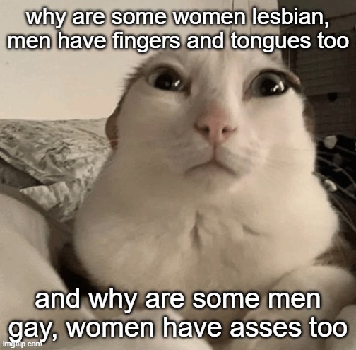 goober | why are some women lesbian, men have fingers and tongues too; and why are some men gay, women have asses too | image tagged in goober | made w/ Imgflip meme maker