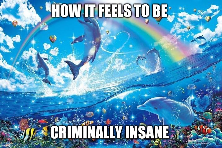 Happy dolphin rainbow | HOW IT FEELS TO BE; CRIMINALLY INSANE | image tagged in happy dolphin rainbow | made w/ Imgflip meme maker