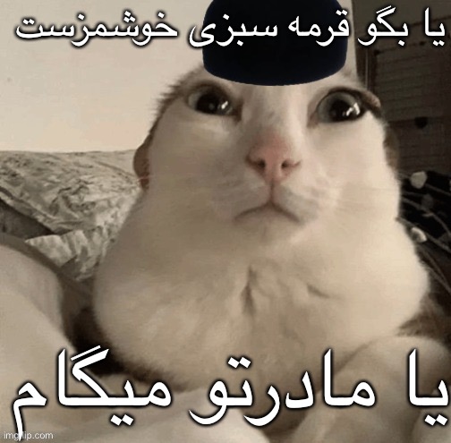 goober | یا بگو قرمه سبزی خوشمزست; یا مادرتو میگام | image tagged in goober | made w/ Imgflip meme maker