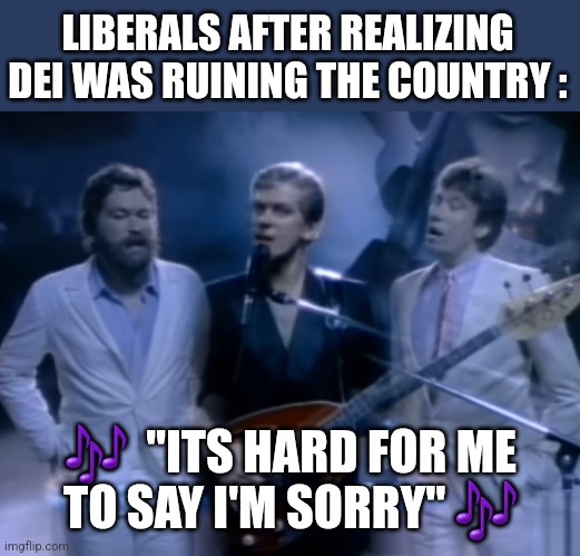 LIBERALS AFTER REALIZING DEI WAS RUINING THE COUNTRY :; 🎶  "ITS HARD FOR ME
 TO SAY I'M SORRY" 🎶 | image tagged in funny memes | made w/ Imgflip meme maker