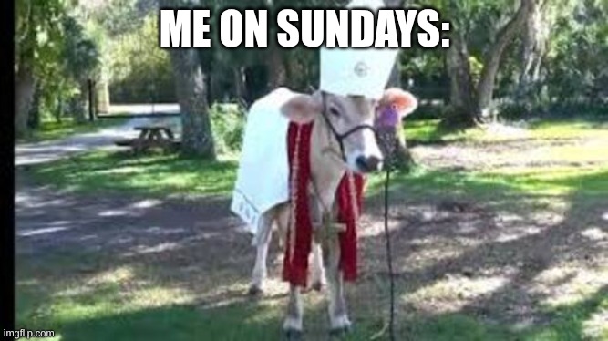 Holy cow | ME ON SUNDAYS: | image tagged in holy cow | made w/ Imgflip meme maker