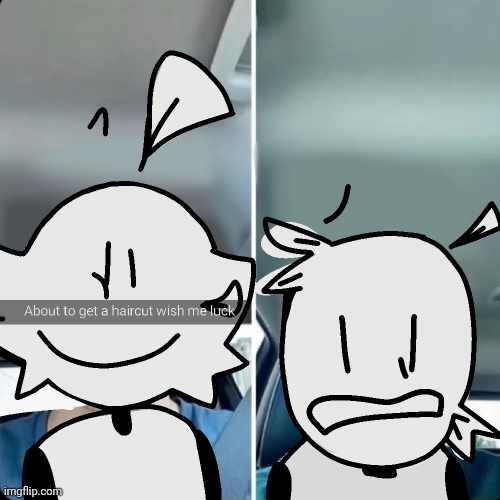Fun fact: phasmatosapiens (skrunkly's species) actually have feathers for hair, and they shed it once in 5 years | made w/ Imgflip meme maker