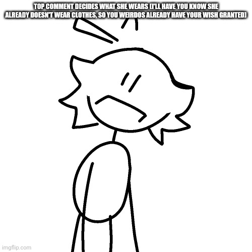 TOP COMMENT DECIDES WHAT SHE WEARS (I'LL HAVE YOU KNOW SHE ALREADY DOESN'T WEAR CLOTHES, SO YOU WEIRDOS ALREADY HAVE YOUR WISH GRANTED) | made w/ Imgflip meme maker