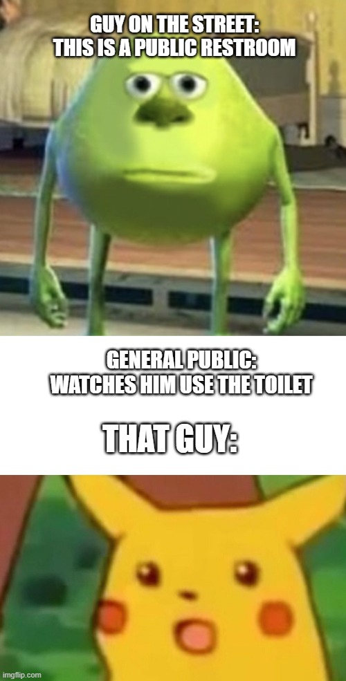 toilet humor | GUY ON THE STREET: THIS IS A PUBLIC RESTROOM; GENERAL PUBLIC: WATCHES HIM USE THE TOILET; THAT GUY: | image tagged in mike wazowski face swap,memes,surprised pikachu | made w/ Imgflip meme maker