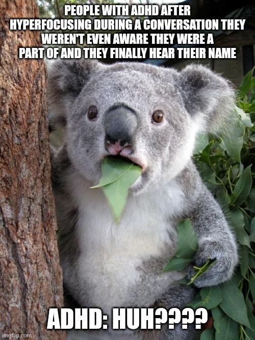 Surprised Koala | PEOPLE WITH ADHD AFTER HYPERFOCUSING DURING A CONVERSATION THEY WEREN'T EVEN AWARE THEY WERE A PART OF AND THEY FINALLY HEAR THEIR NAME; ADHD: HUH???? | image tagged in memes,surprised koala adha,adhd,friends,blank text conversation,hyper | made w/ Imgflip meme maker