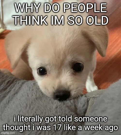 hi | WHY DO PEOPLE THINK IM SO OLD; i literally got told someone thought i was 17 like a week ago | image tagged in hi | made w/ Imgflip meme maker