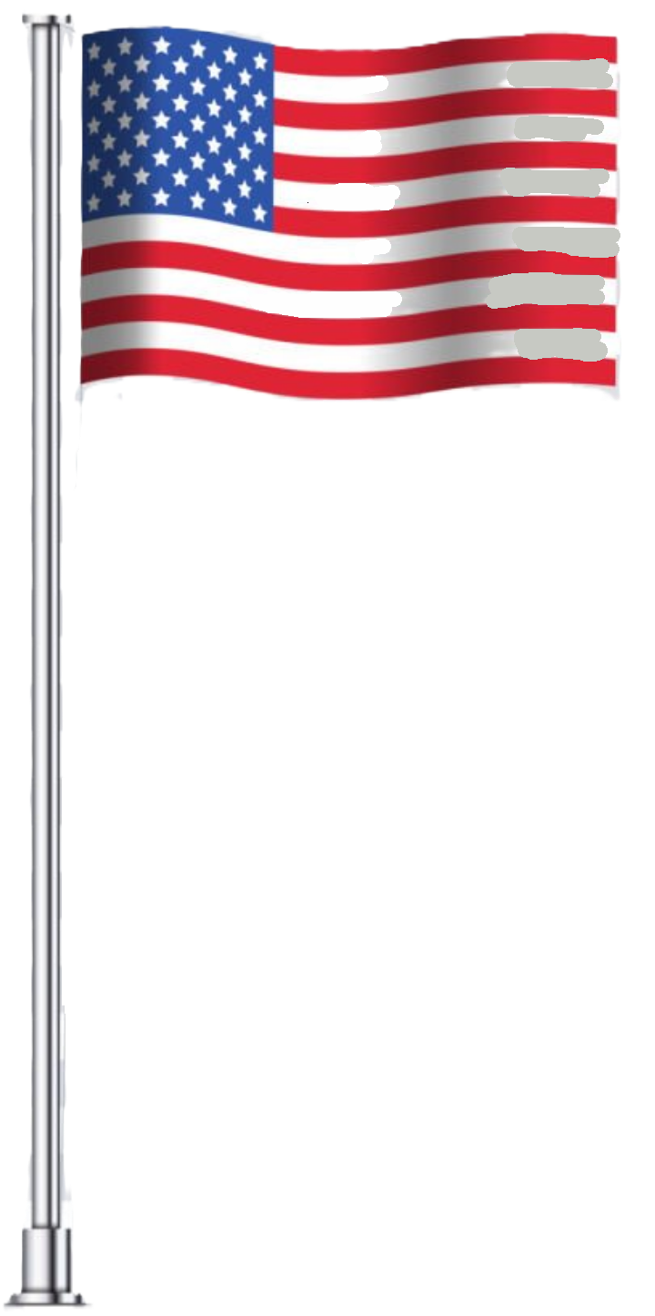 usa flag Blank Meme Template