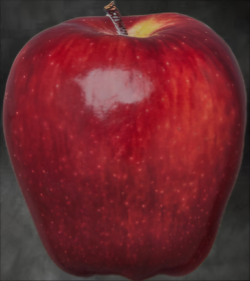 Apple Blank Meme Template