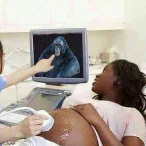 9nebab.jpg