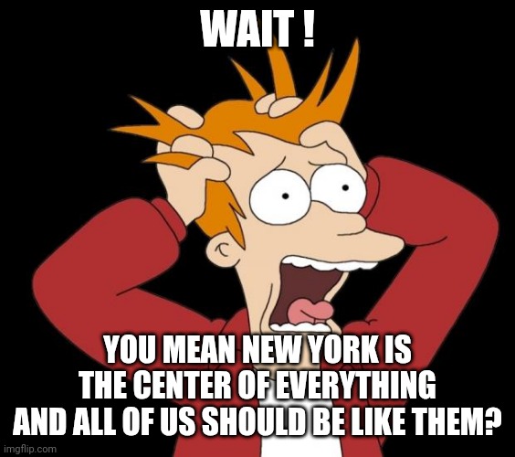 panic attack | WAIT ! YOU MEAN NEW YORK IS THE CENTER OF EVERYTHING
AND ALL OF US SHOULD BE LIKE THEM? | image tagged in panic attack | made w/ Imgflip meme maker