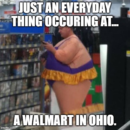 walmart person, i guess | JUST AN EVERYDAY THING OCCURING AT... A WALMART IN OHIO. | image tagged in walmart person i guess | made w/ Imgflip meme maker