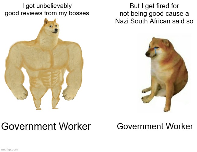 What the heck? | I got unbelievably good reviews from my bosses; But I get fired for not being good cause a Nazi South African said so; Government Worker; Government Worker | image tagged in memes,buff doge vs cheems,pathetic don | made w/ Imgflip meme maker