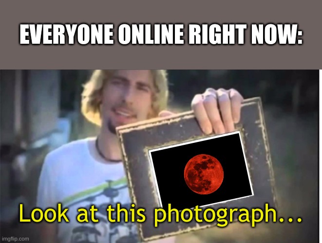 Yes.  We all saw it.  It turned red.  Wooo. | EVERYONE ONLINE RIGHT NOW:; Look at this photograph... | image tagged in nickelback,blood moon | made w/ Imgflip meme maker