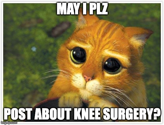 Shrek Cat | MAY I PLZ; POST ABOUT KNEE SURGERY? | image tagged in memes,shrek cat | made w/ Imgflip meme maker