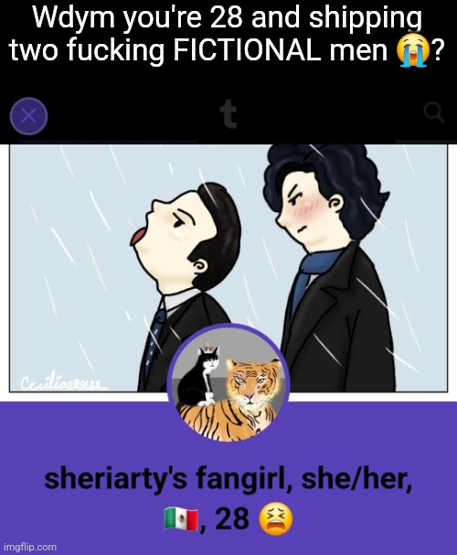 At that age people have matured dawg | Wdym you're 28 and shipping two fucking FICTIONAL men 😭? | made w/ Imgflip meme maker