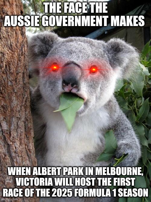 Surprised Koala | THE FACE THE AUSSIE GOVERNMENT MAKES; WHEN ALBERT PARK IN MELBOURNE, VICTORIA WILL HOST THE FIRST RACE OF THE 2025 FORMULA 1 SEASON | image tagged in memes,surprised koala | made w/ Imgflip meme maker