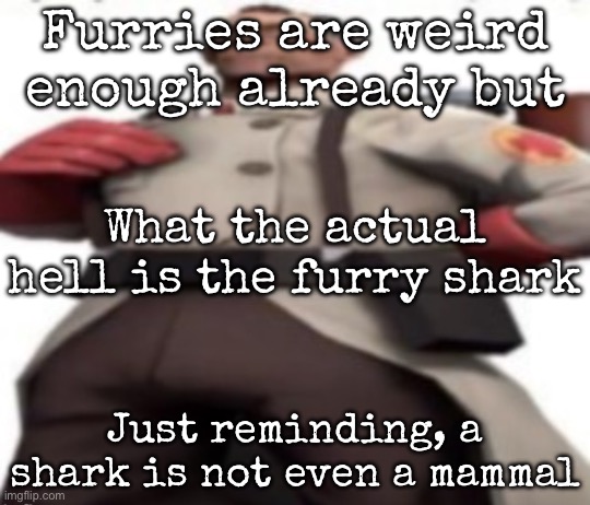 Like what the hell is this bullshit | Furries are weird enough already but; What the actual hell is the furry shark; Just reminding, a shark is not even a mammal | image tagged in ze medic,msmg | made w/ Imgflip meme maker