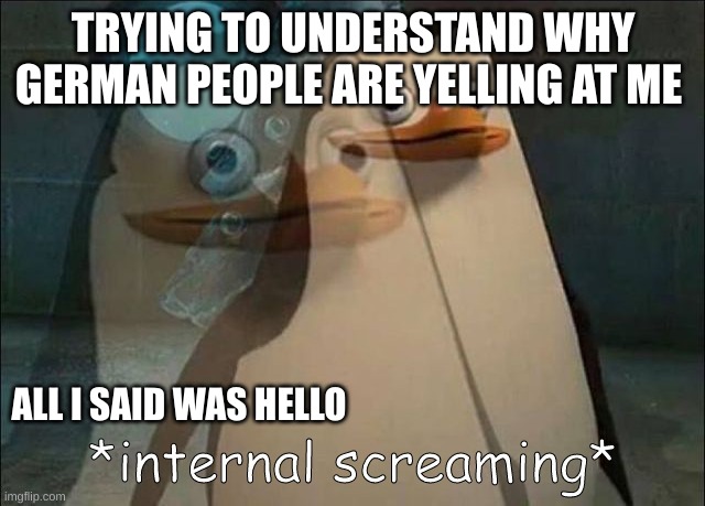 Private Internal Screaming | TRYING TO UNDERSTAND WHY GERMAN PEOPLE ARE YELLING AT ME; ALL I SAID WAS HELLO | image tagged in private internal screaming | made w/ Imgflip meme maker