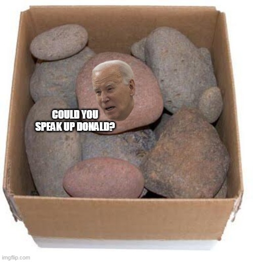 COULD YOU SPEAK UP DONALD? | made w/ Imgflip meme maker