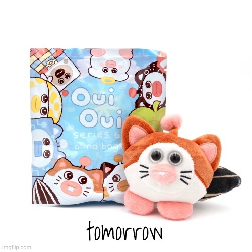 unless there is a delay | tomorrow | image tagged in ouioui series 6 blindbag | made w/ Imgflip meme maker