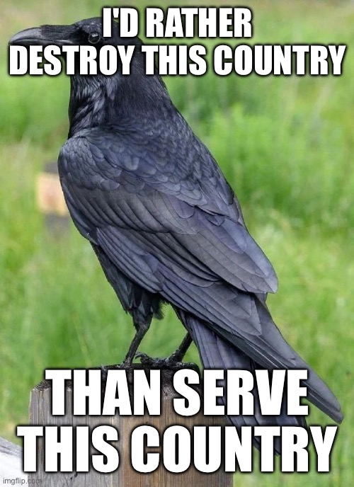 Death to America | I'D RATHER DESTROY THIS COUNTRY; THAN SERVE THIS COUNTRY | image tagged in raven | made w/ Imgflip meme maker