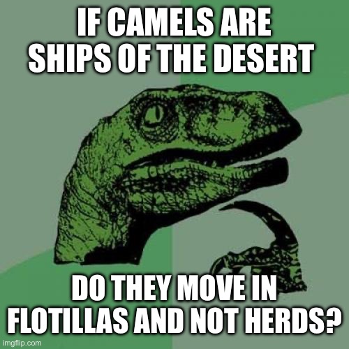 Fun | IF CAMELS ARE SHIPS OF THE DESERT; DO THEY MOVE IN FLOTILLAS AND NOT HERDS? | image tagged in memes,philosoraptor | made w/ Imgflip meme maker