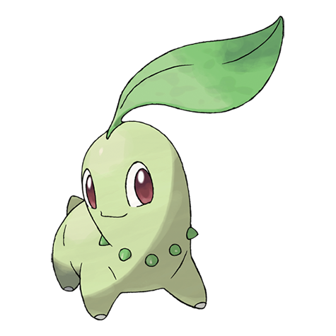 Chikorita Blank Meme Template