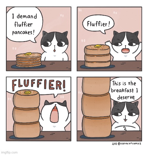 Cat & Cat Comics | image tagged in cats | made w/ Imgflip meme maker