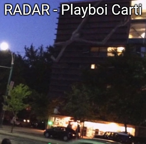 GET THE FUCK DOWN FROM THERE | RADAR - Playboi Carti | image tagged in get the fuck down from there | made w/ Imgflip meme maker