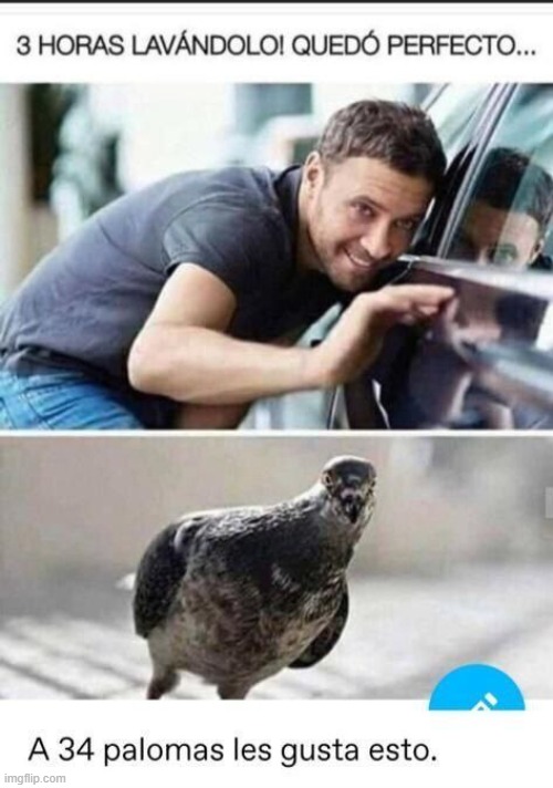 9nfami.jpg