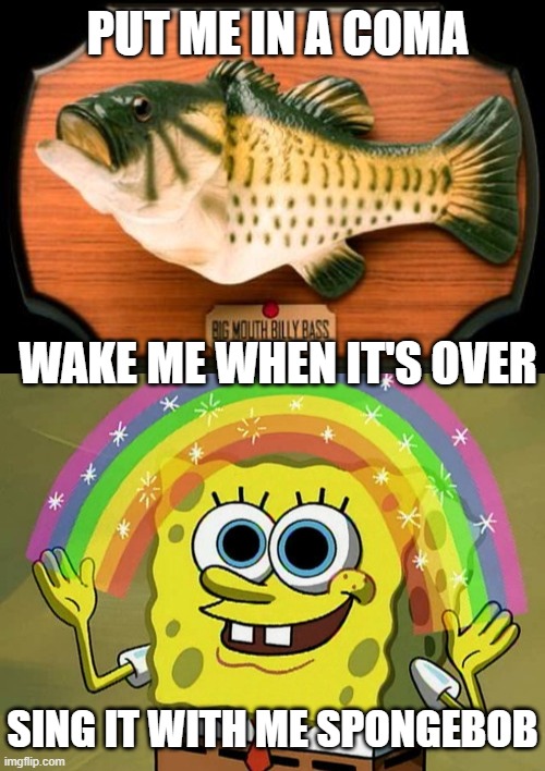 Imagination Spongebob With Big Mouth Billy Bass | PUT ME IN A COMA; WAKE ME WHEN IT'S OVER; SING IT WITH ME SPONGEBOB | image tagged in big mouth billy bass,memes,imagination spongebob,change my mind | made w/ Imgflip meme maker