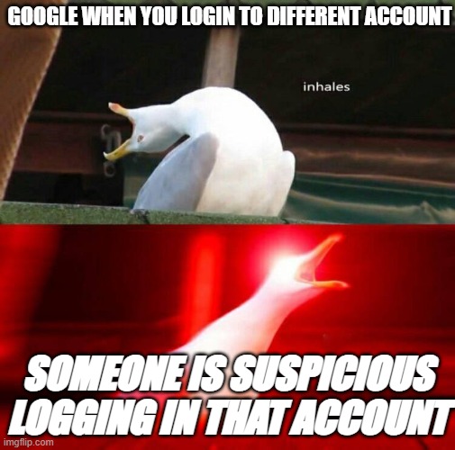 Everytime | GOOGLE WHEN YOU LOGIN TO DIFFERENT ACCOUNT; SOMEONE IS SUSPICIOUS LOGGING IN THAT ACCOUNT | image tagged in inhaling seagull,google | made w/ Imgflip meme maker