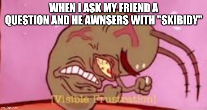 Visible Frustration | WHEN I ASK MY FRIEND A QUESTION AND HE AWNSERS WITH "SKIBIDY" | image tagged in visible frustration | made w/ Imgflip meme maker