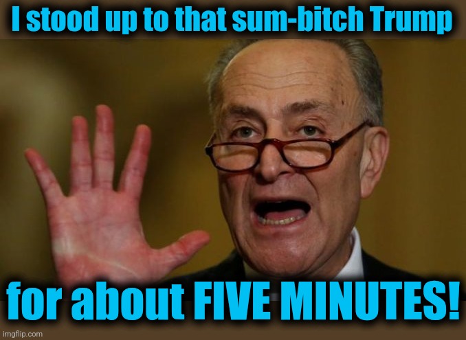 Spineless Chucky | I stood up to that sum-bitch Trump; for about FIVE MINUTES! | image tagged in chuck schumer,memes,democrats,government shutdown,wimp,punk | made w/ Imgflip meme maker