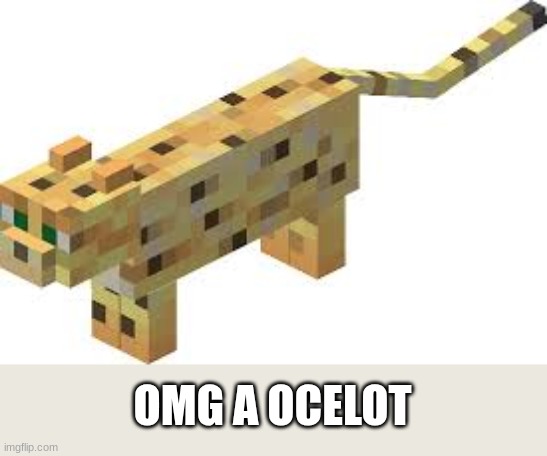 OMG A OCELOT | made w/ Imgflip meme maker