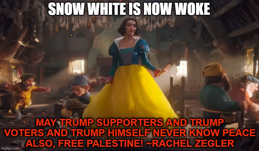 Disney's $270 million dollar flop is going to once again blame the audience for not accepting woke indoctrination | SNOW WHITE IS NOW WOKE; MAY TRUMP SUPPORTERS AND TRUMP VOTERS AND TRUMP HIMSELF NEVER KNOW PEACE
ALSO, FREE PALESTINE! ~RACHEL ZEGLER | image tagged in disney,woke,snow white,blame,trump supporters,trump | made w/ Imgflip meme maker