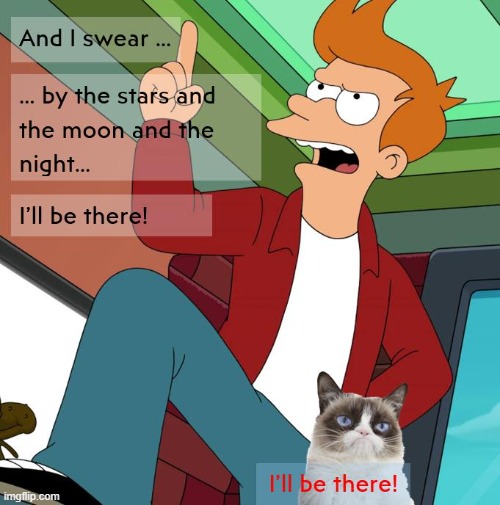 And I swear! | image tagged in futurama fry,futurama,boy bands,grumpy cat | made w/ Imgflip meme maker