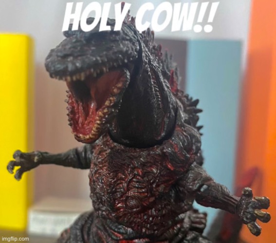 HOLY COW shin goji | image tagged in holy cow shin goji | made w/ Imgflip meme maker